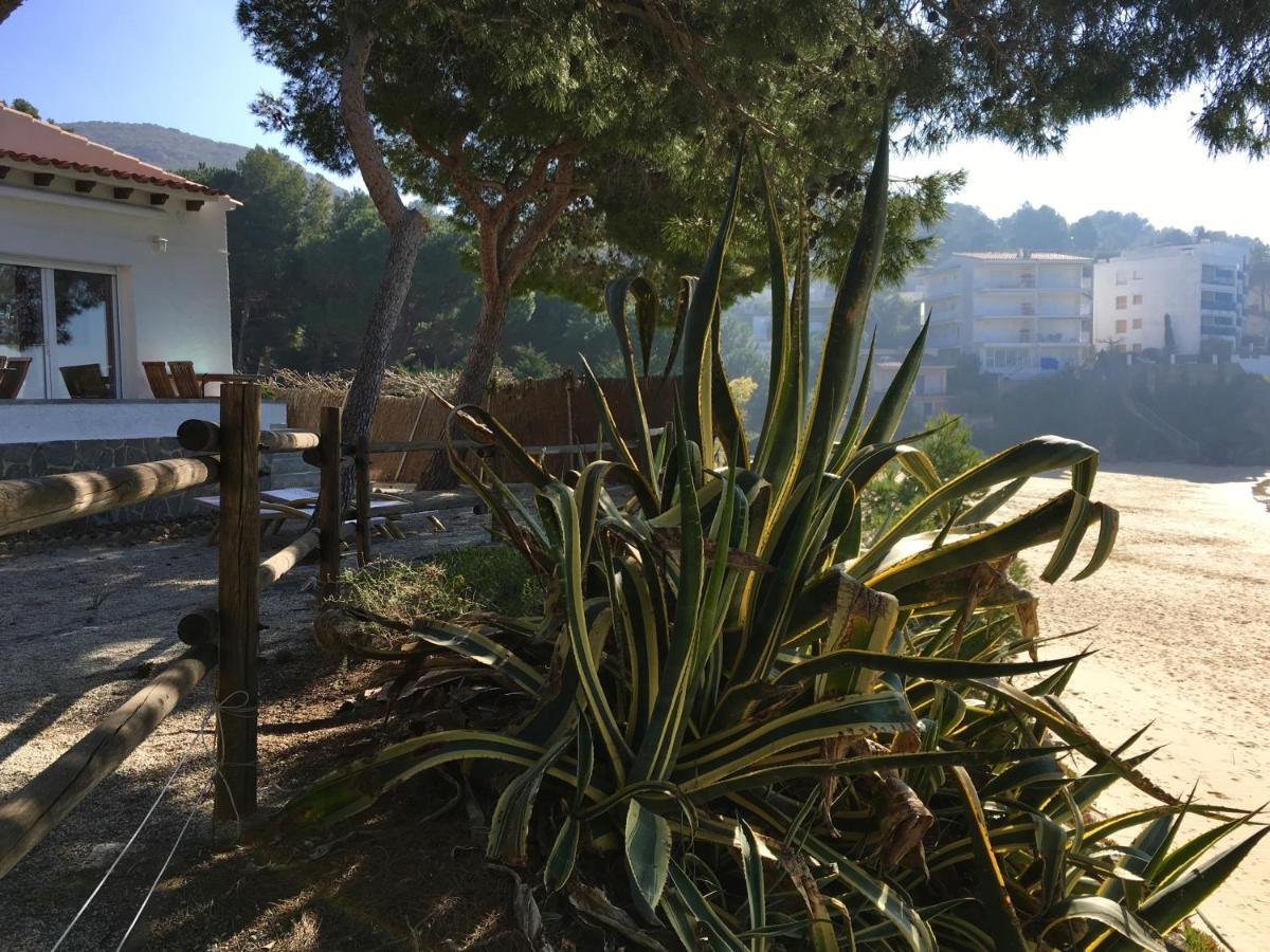 Holiday home Petit Paradis Roses
